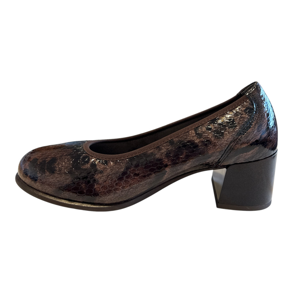 Pitillos Brown Snakeprint Court Shoes 11.640