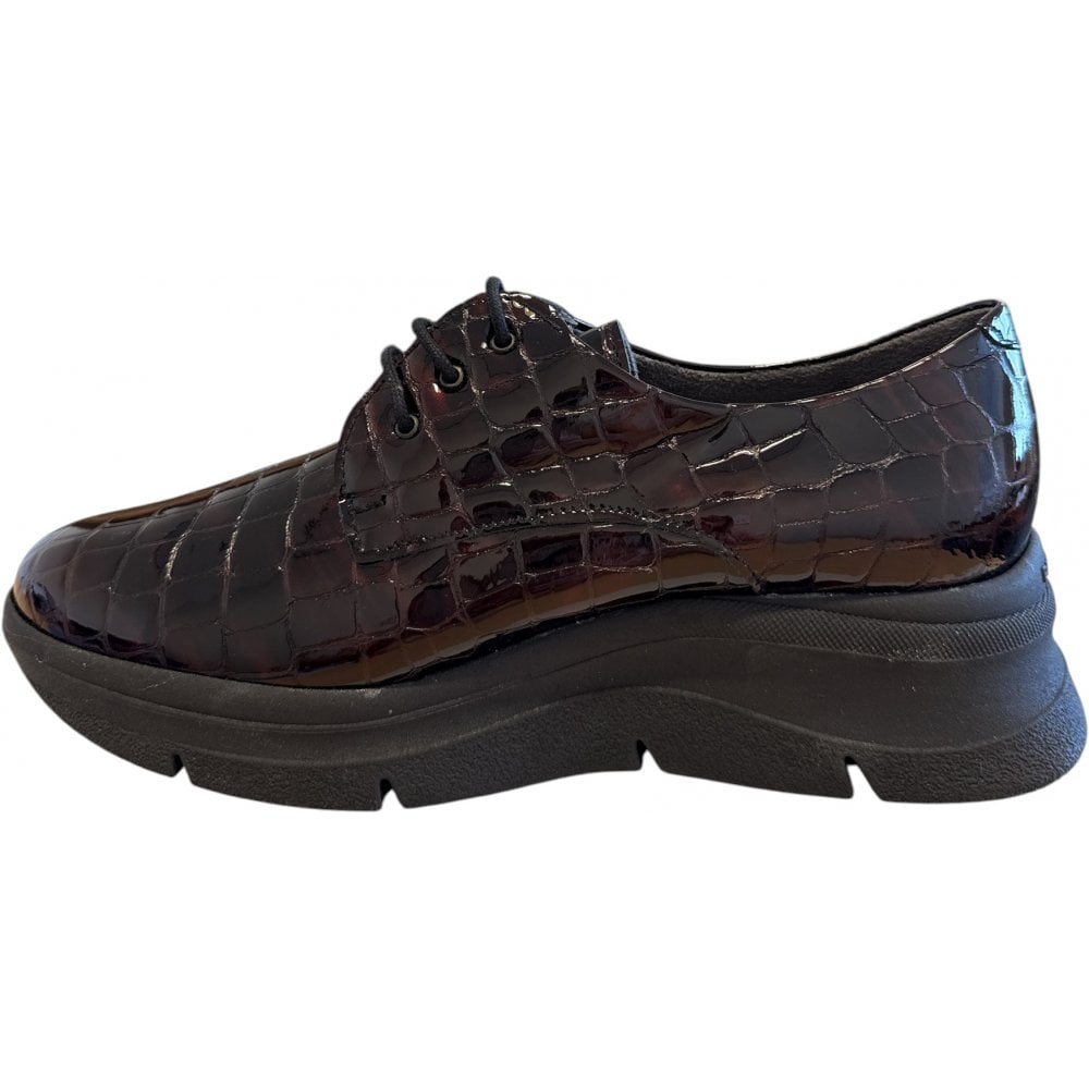 Pitillos  10.751 Burgundy Patent Lace-Up Shoes