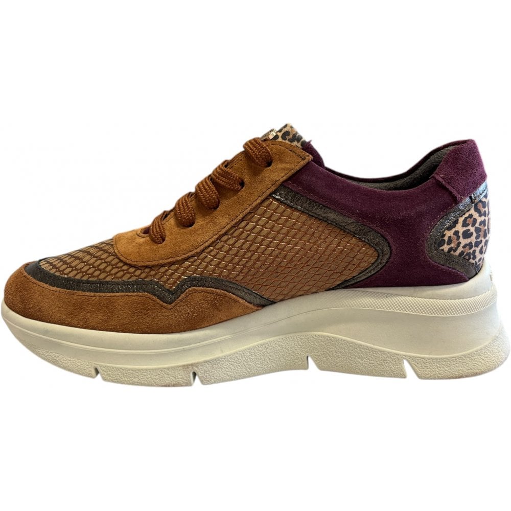 Pitillos  10.913 Tan Multi Trainers