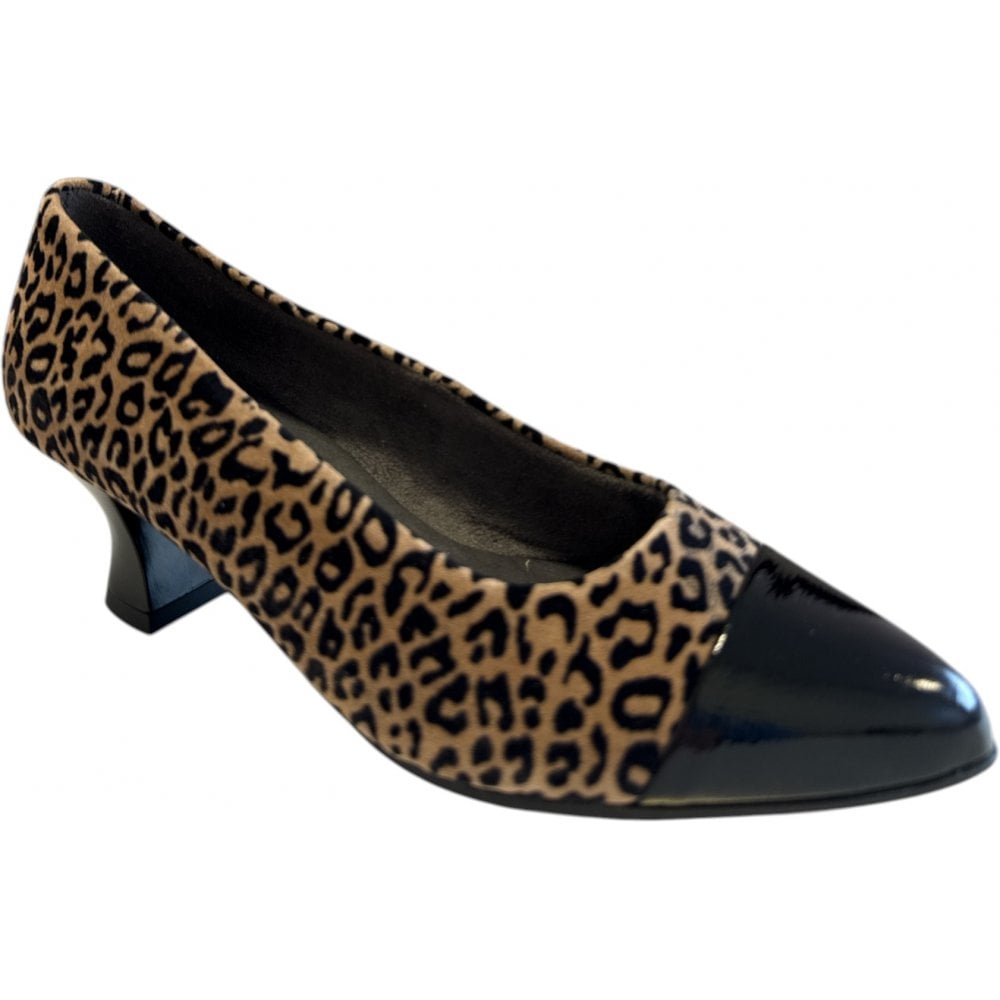 Pitollos 10.856 Leopard Print Court Shoes