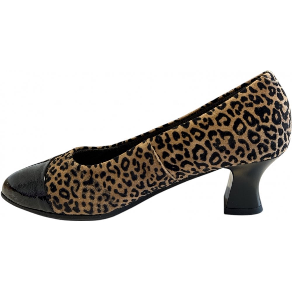 Pitollos 10.856 Leopard Print Court Shoes