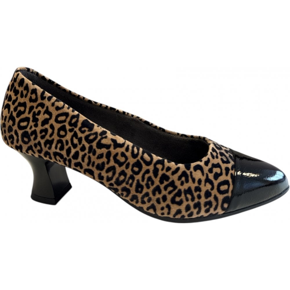 Pitollos 10.856 Leopard Print Court Shoes