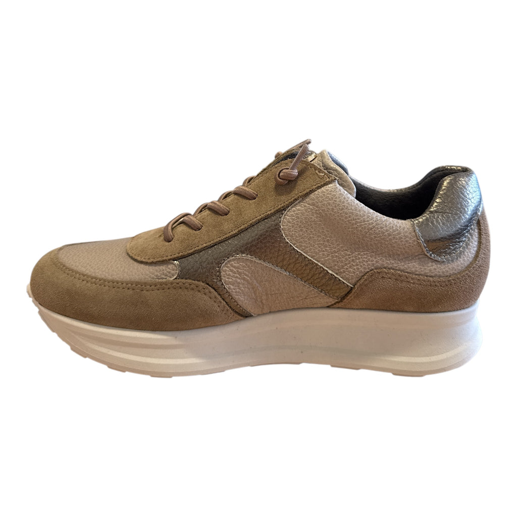 Pitillos Taupe Trainers 11.603