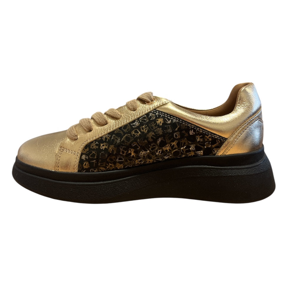 Adesso Rowan Black and Gold Casual Lace-Up Shoes
