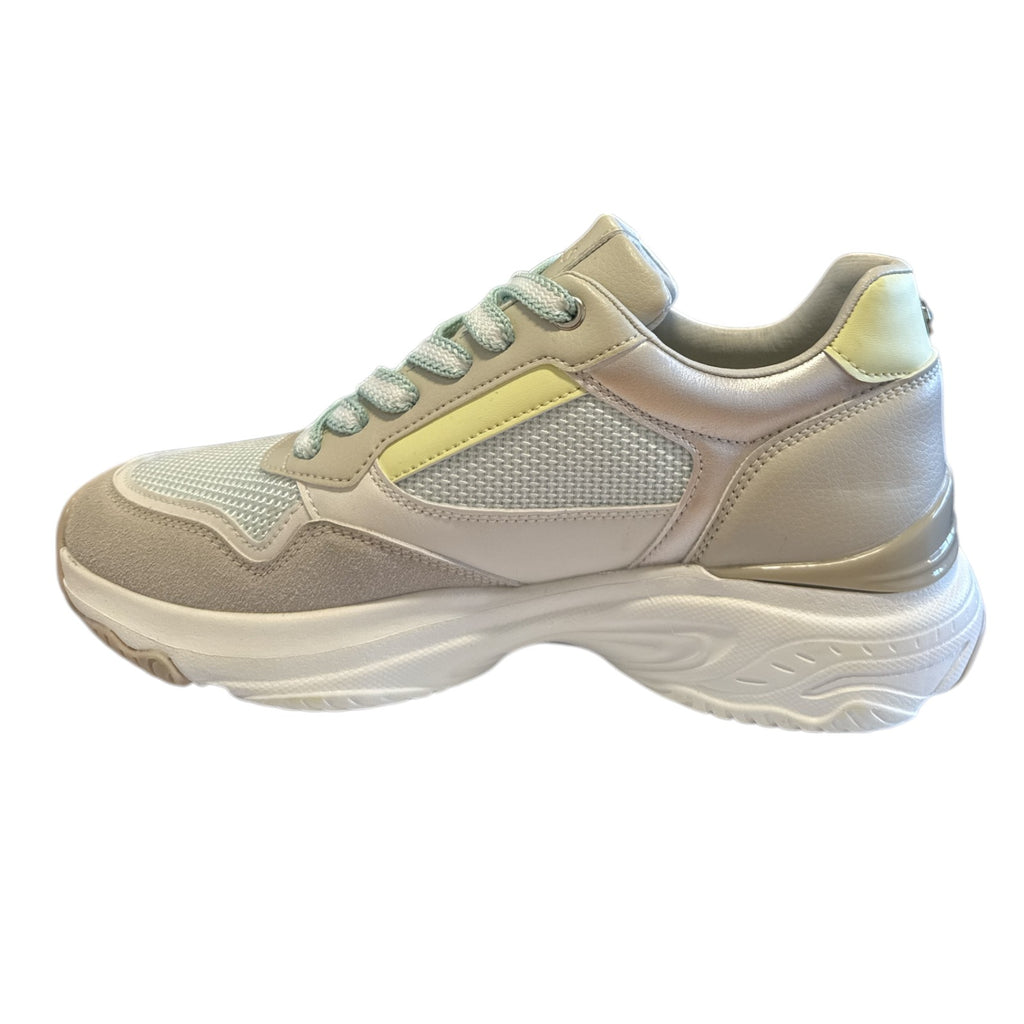 Lotus McKenna Mint Green  Multi Trainers